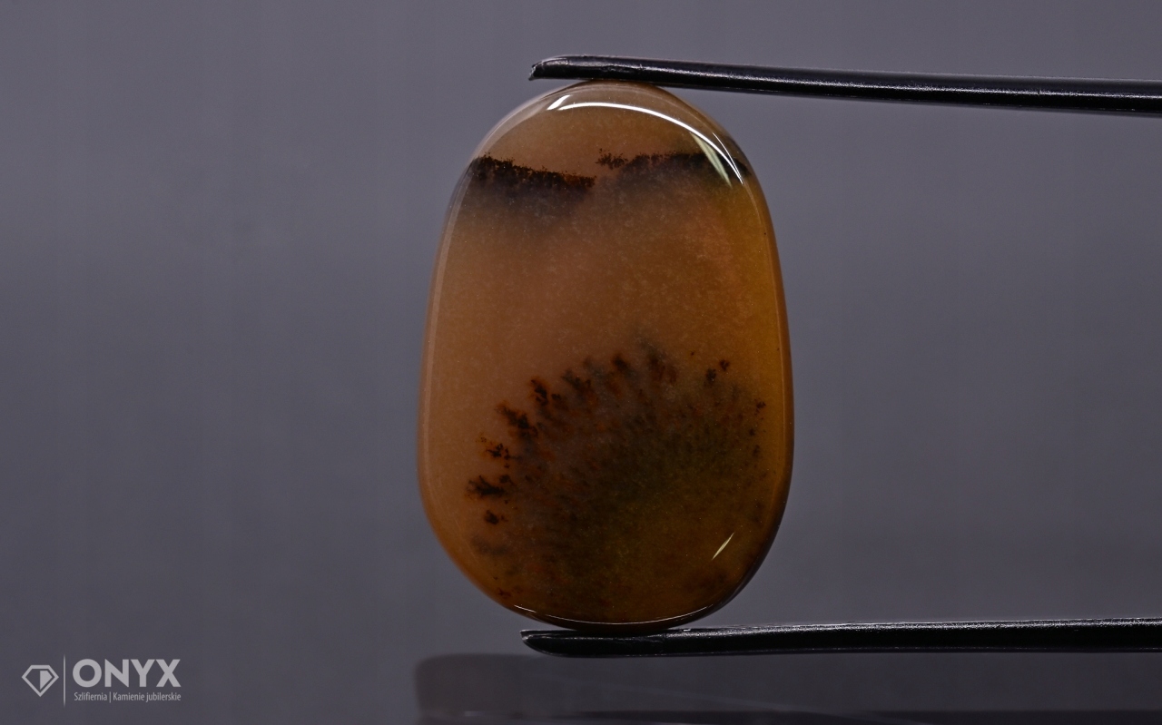 Dendritový achát z Kazachstánu nepravidelná destička