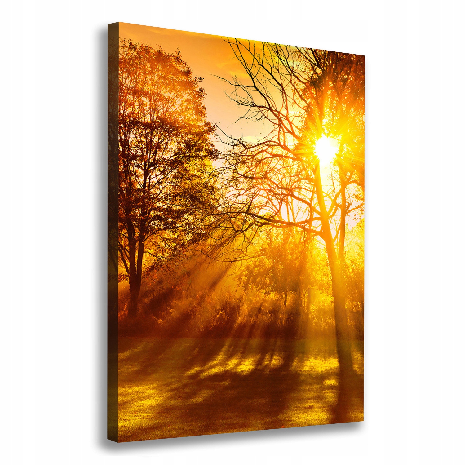 

Foto obraz na płótnie Park jesienią 70x100 cm