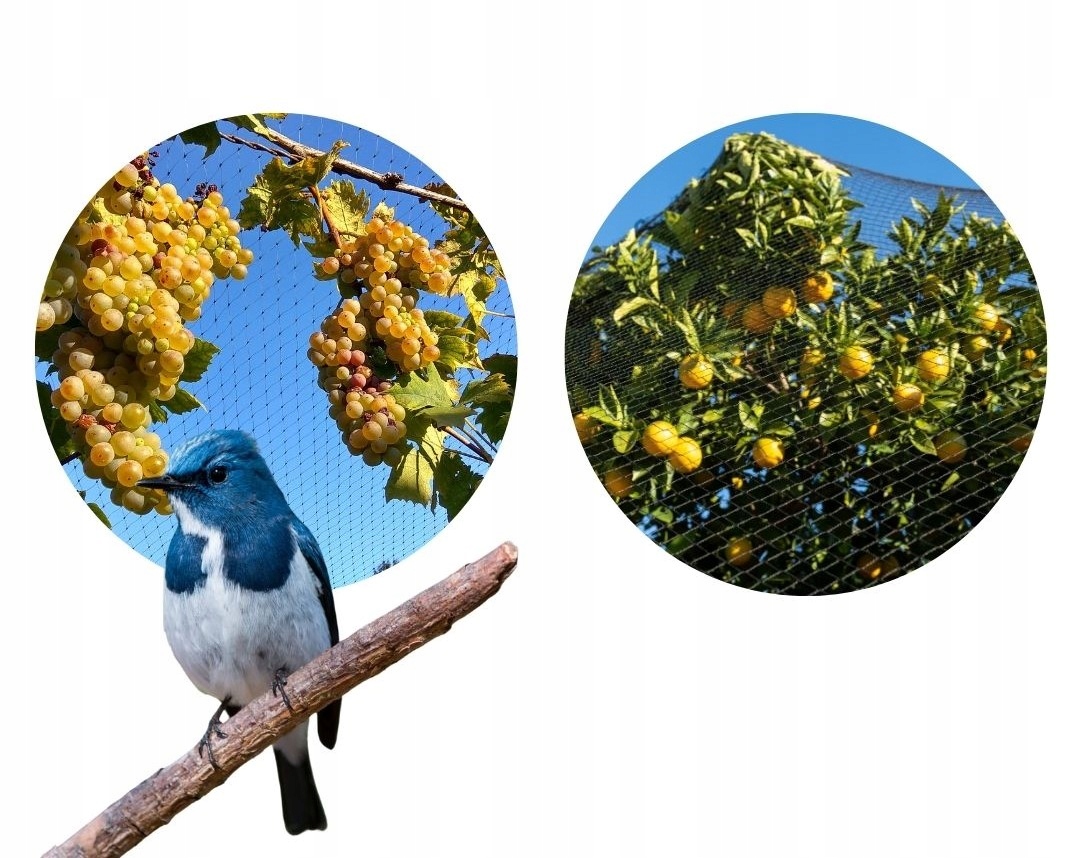 Mocna siatka na ptaki przeciw ptakom szpakom12x25m Marka Garden Lab