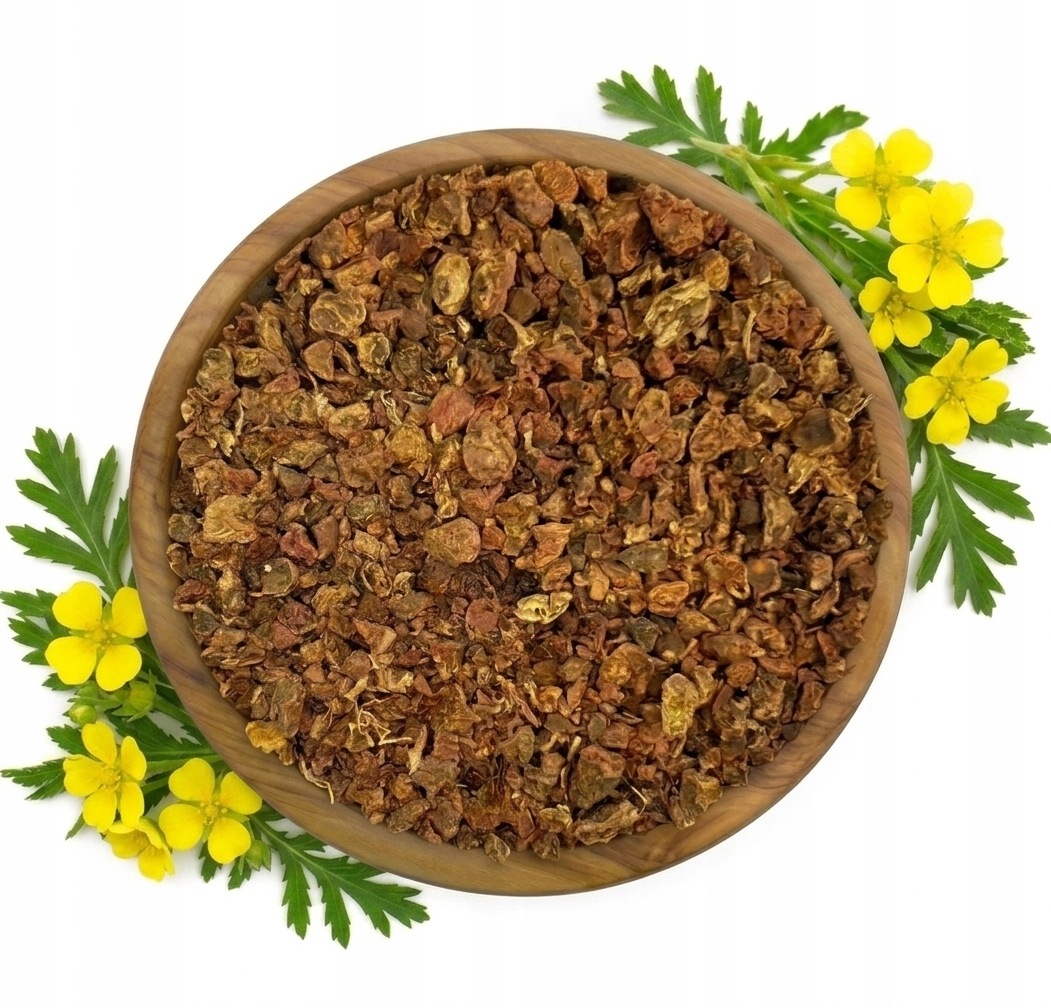 Pięciornik kurze ziele kłącze korzeń cięty pięciornika Mystic.Garden 1 kg