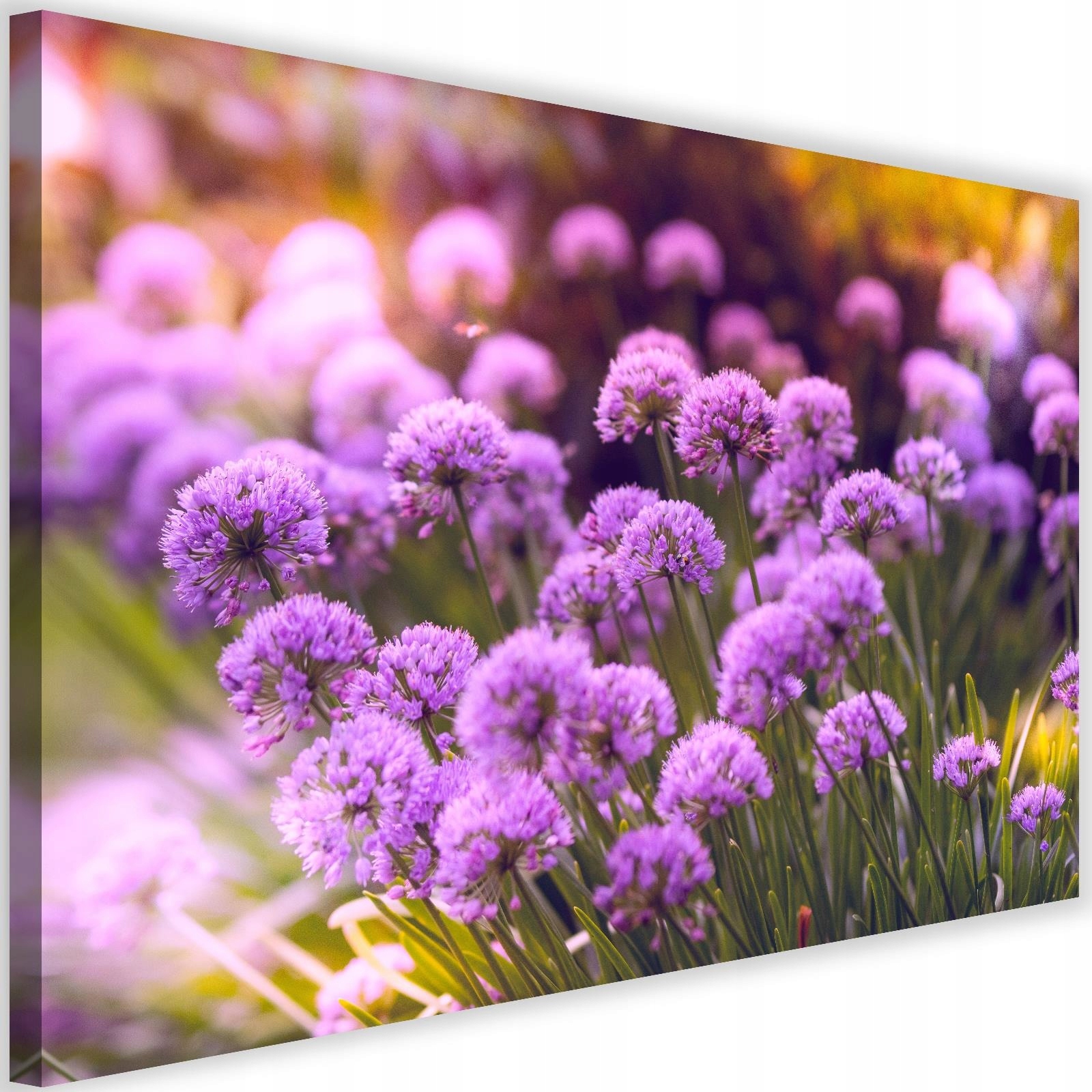 

Obraz Na Płótnie Ogród Fioletowych Kwiatów 120x80