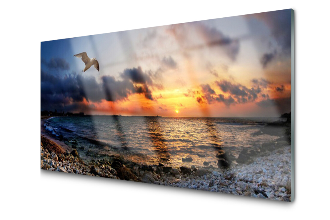 

Panel szklany dekoracyjny Mewa Morze Plaża 100x50