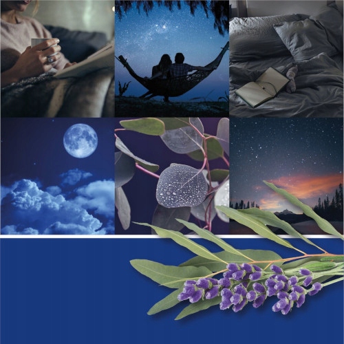 Dyfuzor Elektryczny YANKEE CANDLE Sleep Diffuser Kit z Olejkiem Calm Night Rodzaj dyfuzora elektrycznego do kontaktu