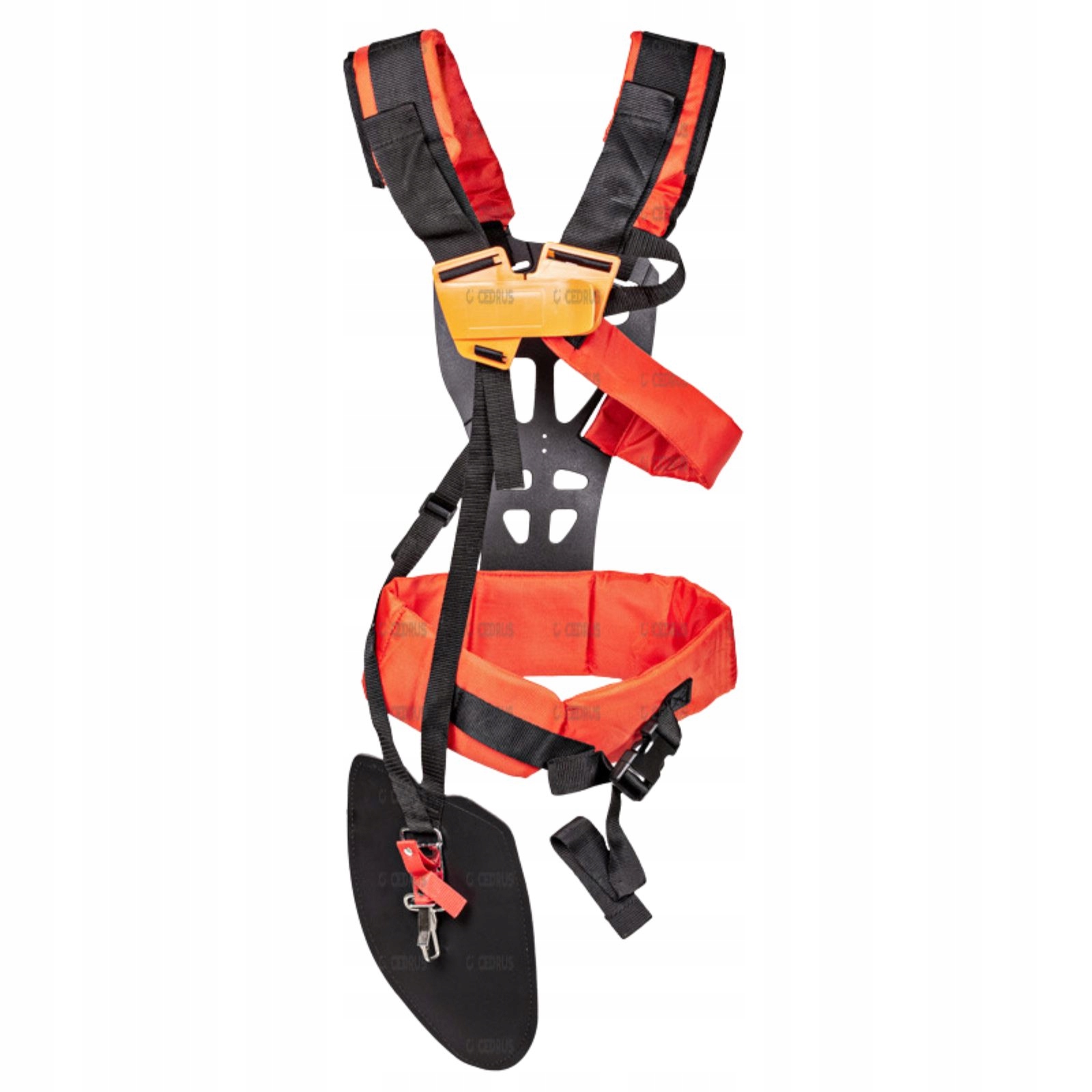 

Szelki Top Professional do kosy Cedrus NZ684