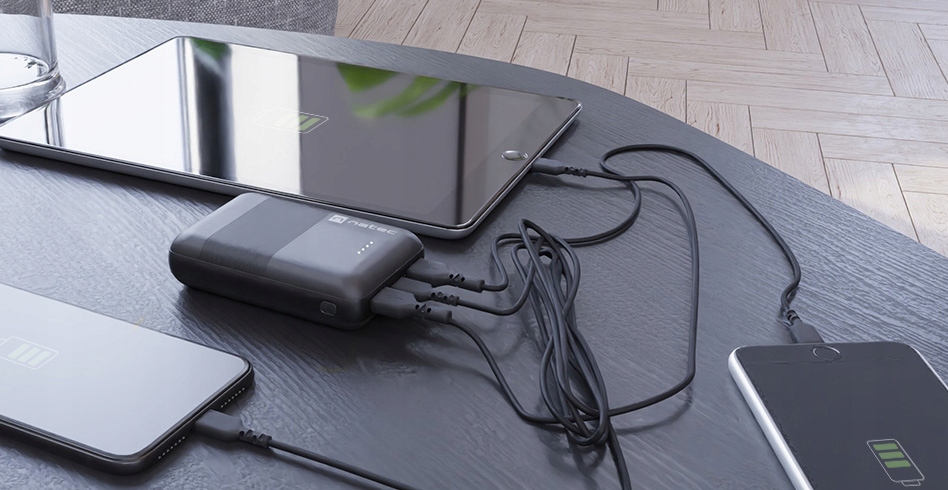 POWERBANK NATEC TREVI COMPACT 10000MAH 2xUSB USB-C Marka Natec