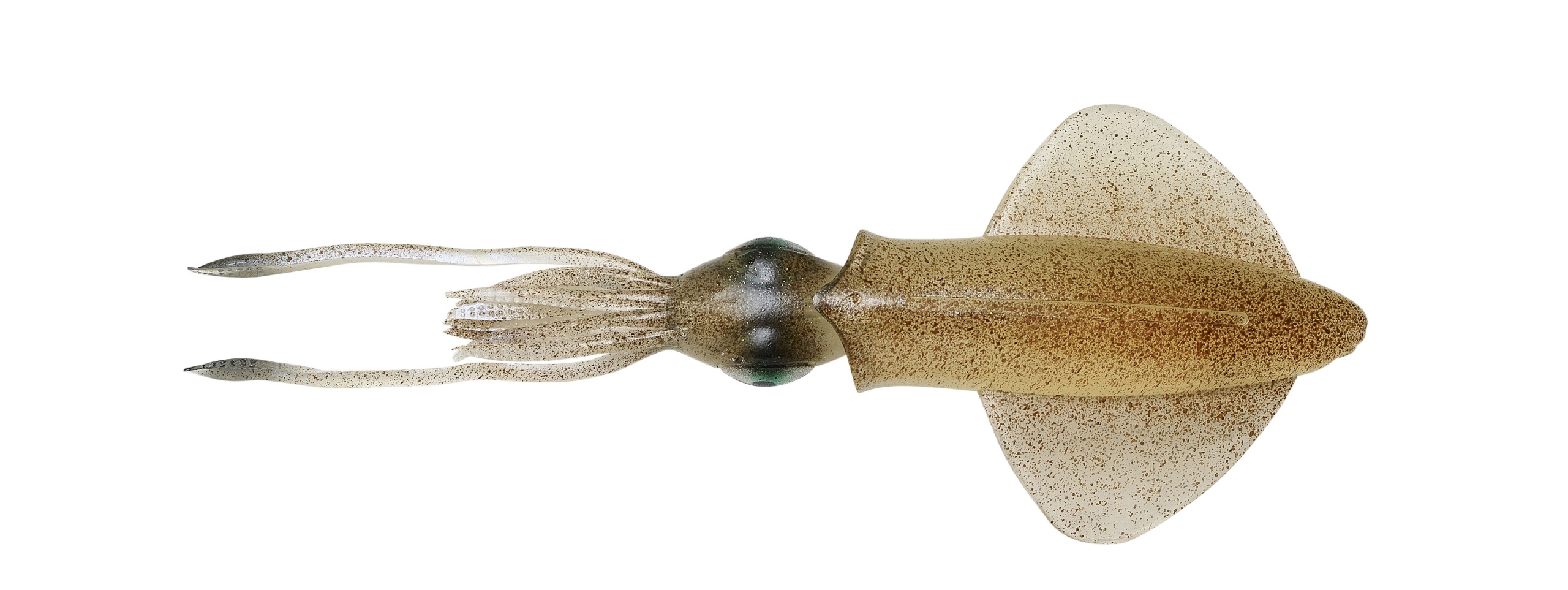 Savage Gear 3D Lb Swim Squid 18cm/32g Green Eye