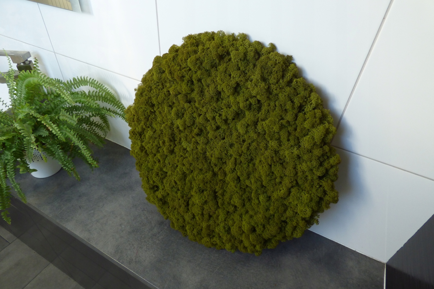 Panel koło z chrobotka Mid Green średnica 50cm Kolor zielony