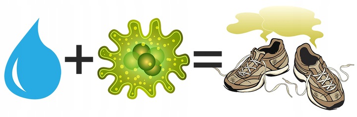 OZONOWA SUSZARKA do BUTÓW OZONEM RĘKAWIC CZAPEK OSUSZACZ NAWIEWEM OZONATOR Nazwa SILVER