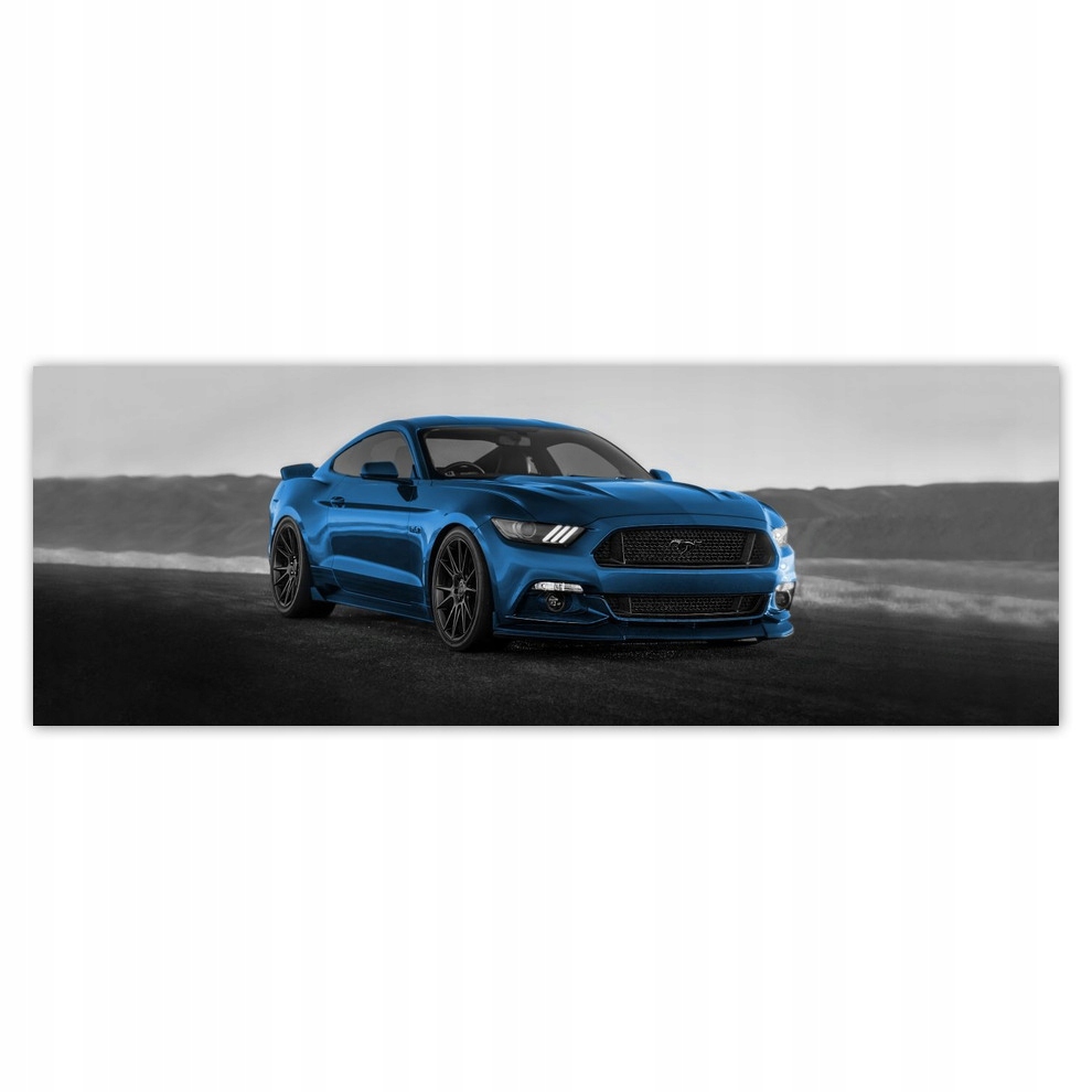 

Fototapety flizelina 624x219 Ford Mustang