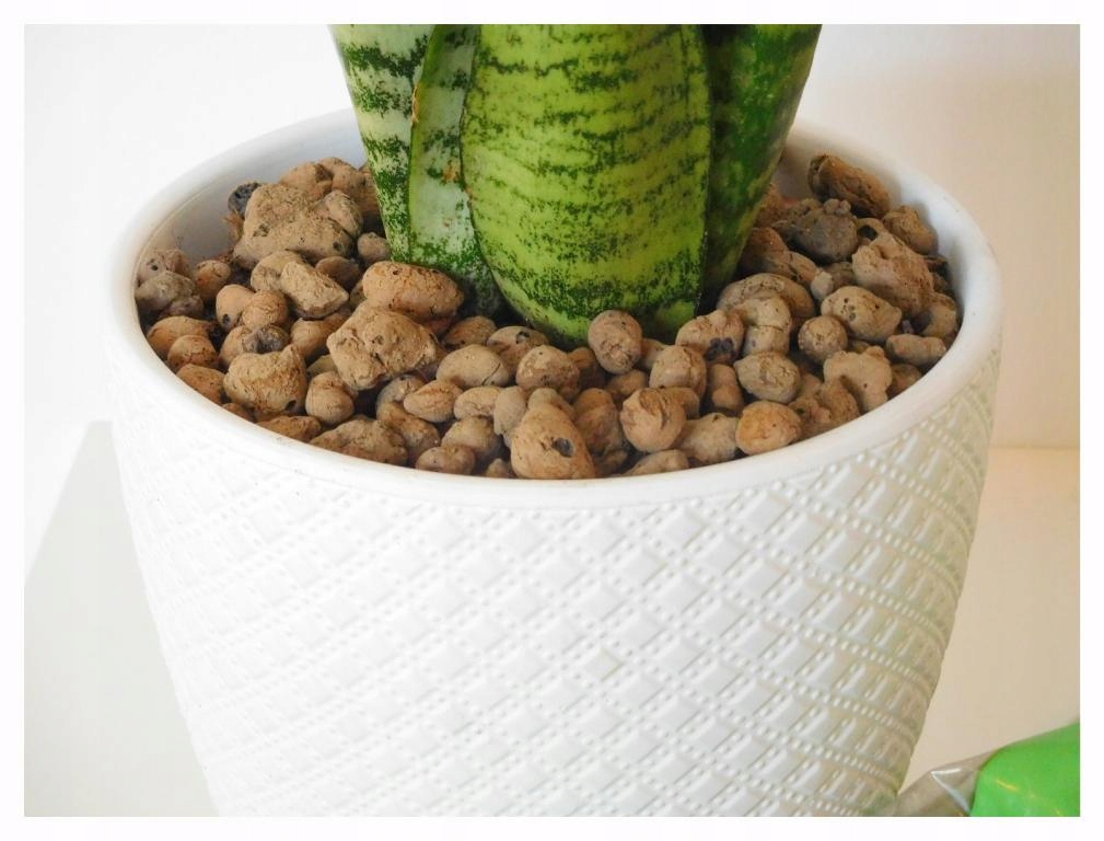 Keramzyt drenaż dodatek do podłoża 2L Rodzaj keramzyt