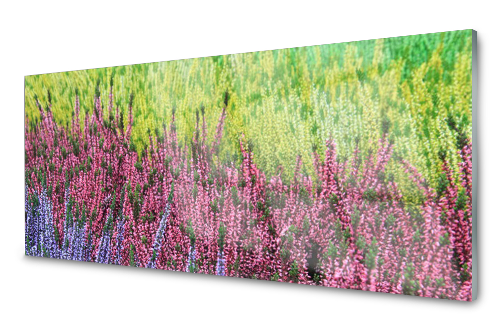 

Panel szklany do kuchni Kwiat Roślina 125x50