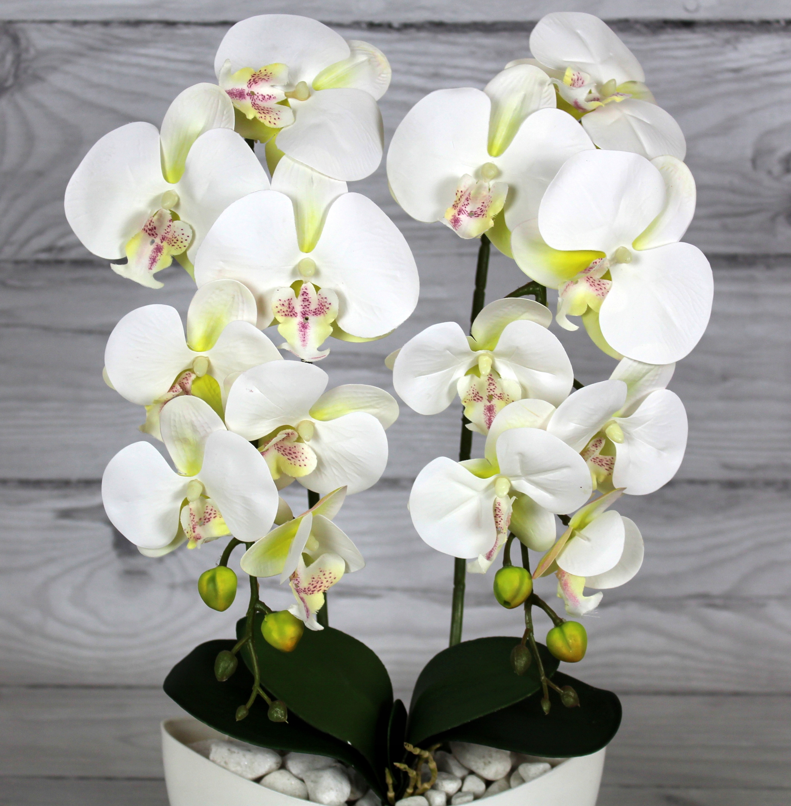 STORCZYK SZTUCZNY STORCZYKI ORCHIDEA KWIAT KWIATY Wysokość 55 cm