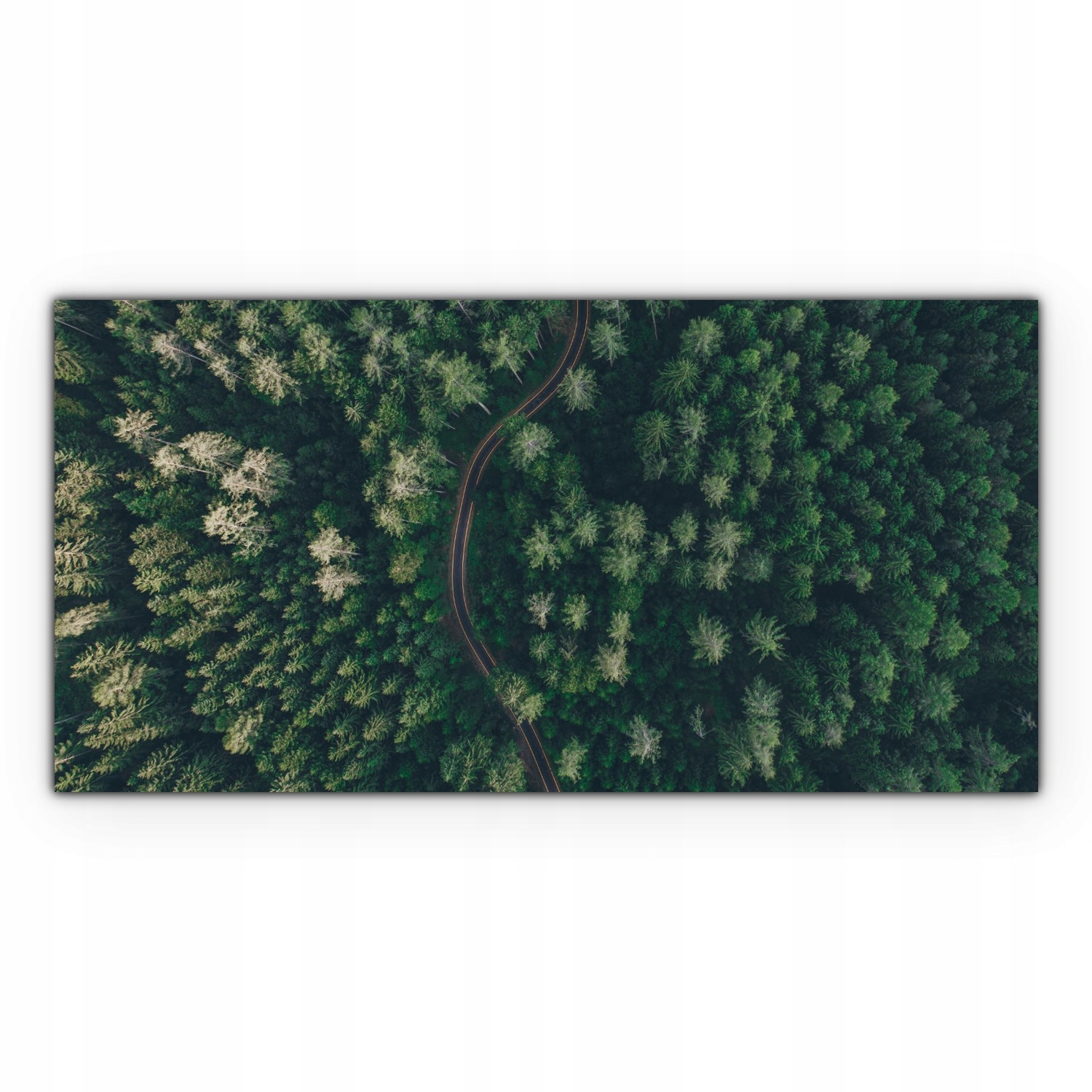 

Canvas na ramie ścienny 140x70 Droga Las Krajobraz