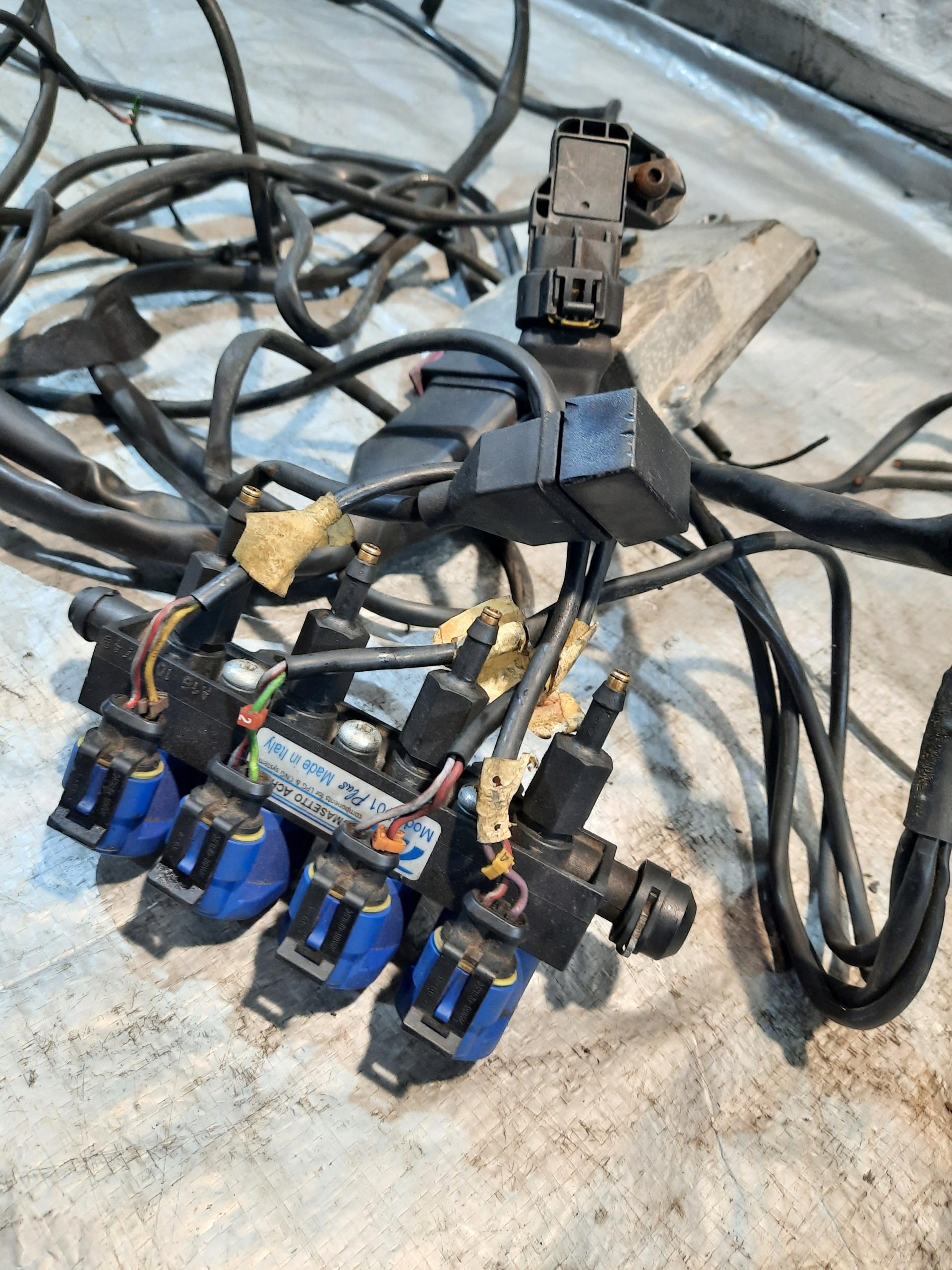 Kabelbaum LPG TOMASETTO 67R-01 4066