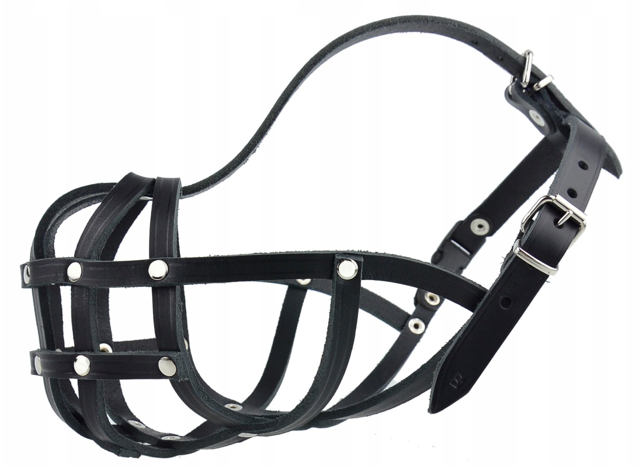 Levně Kožený náhubek pro psa Champion Boxer B1 29/3,5 cm