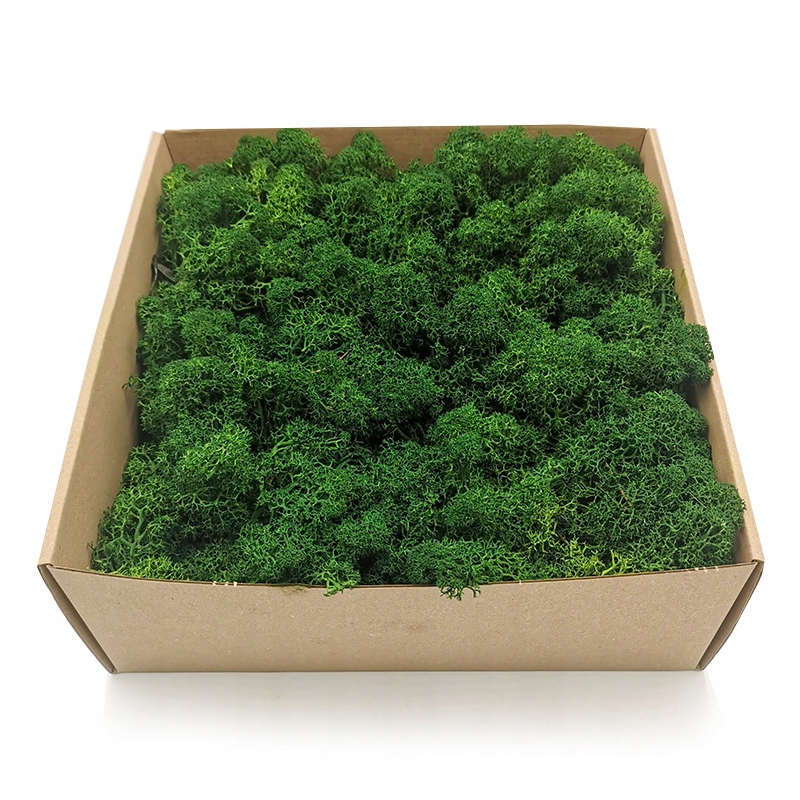 

Mech Chrobotek Alpejski Premium 500g