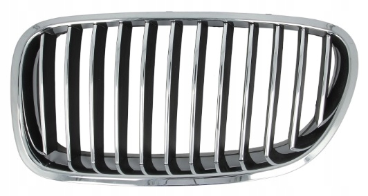 

Atrapa Lewa Bmw 5 F10 12.09-