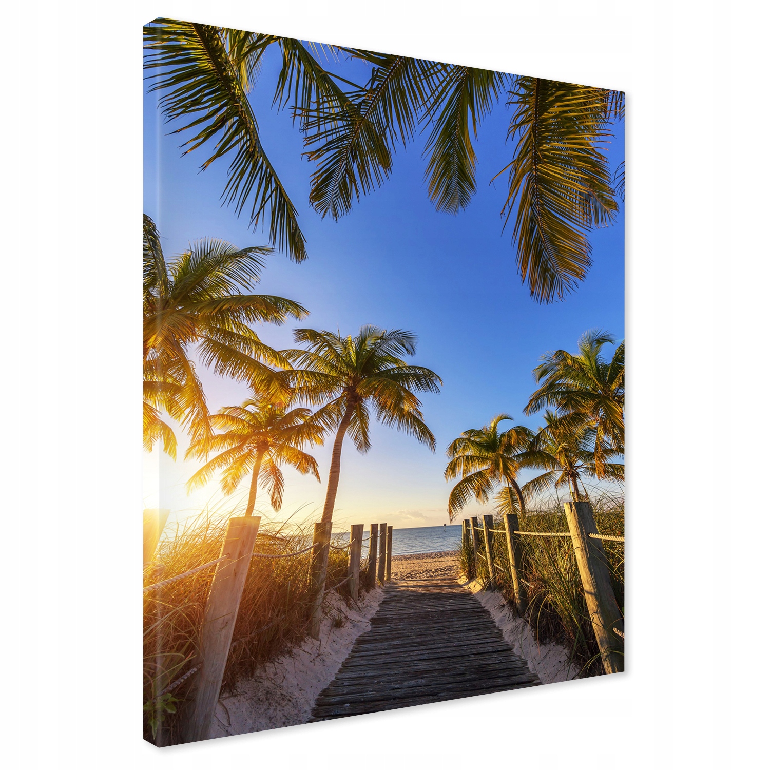 

Obraz na płótnie palmy tropiki 80x120