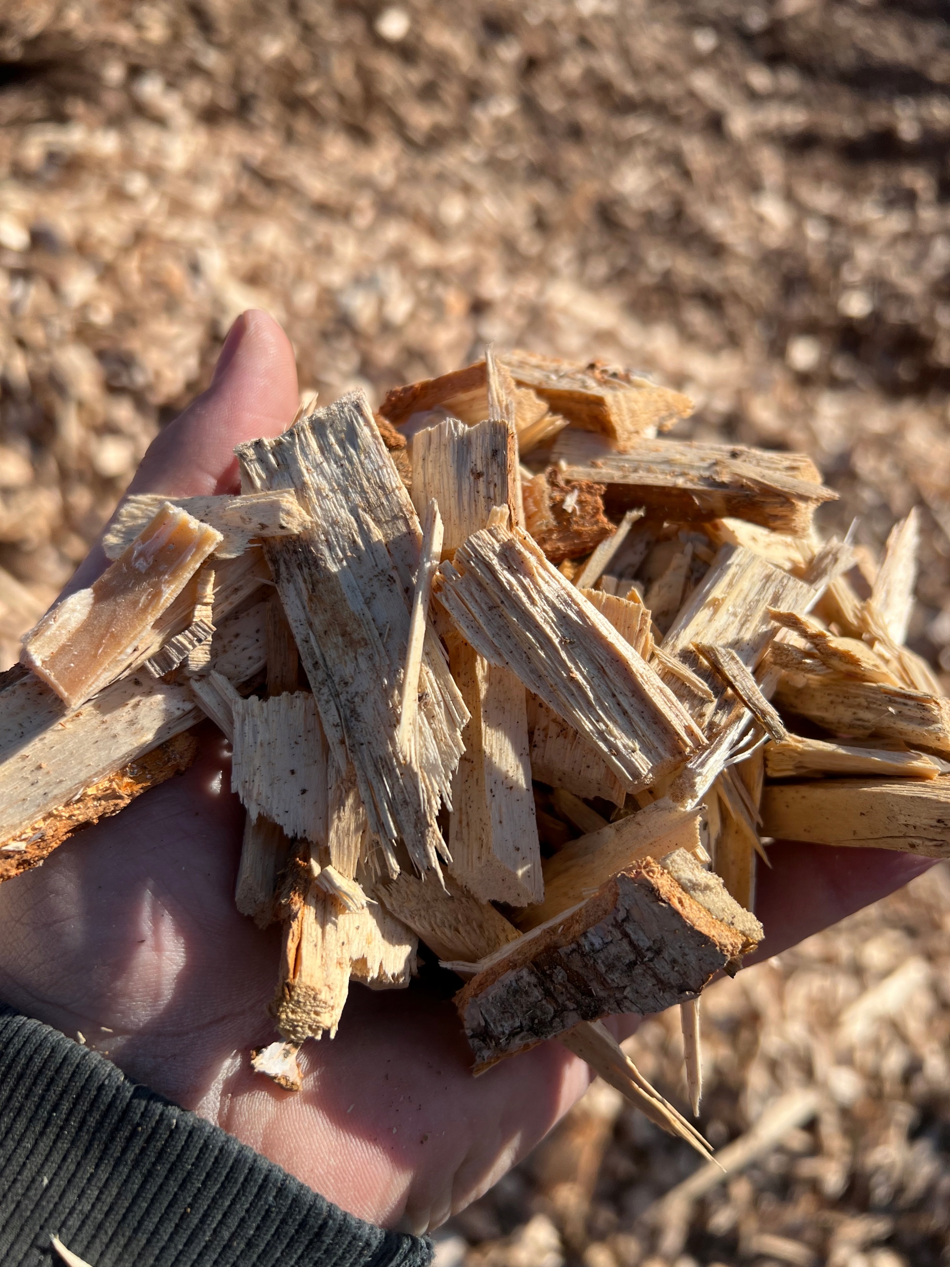 ZRĘBKA DRZEWNA SOSNOWA ZRĘBKI OPAŁ ROZPAŁKA 10 KG Producent inna