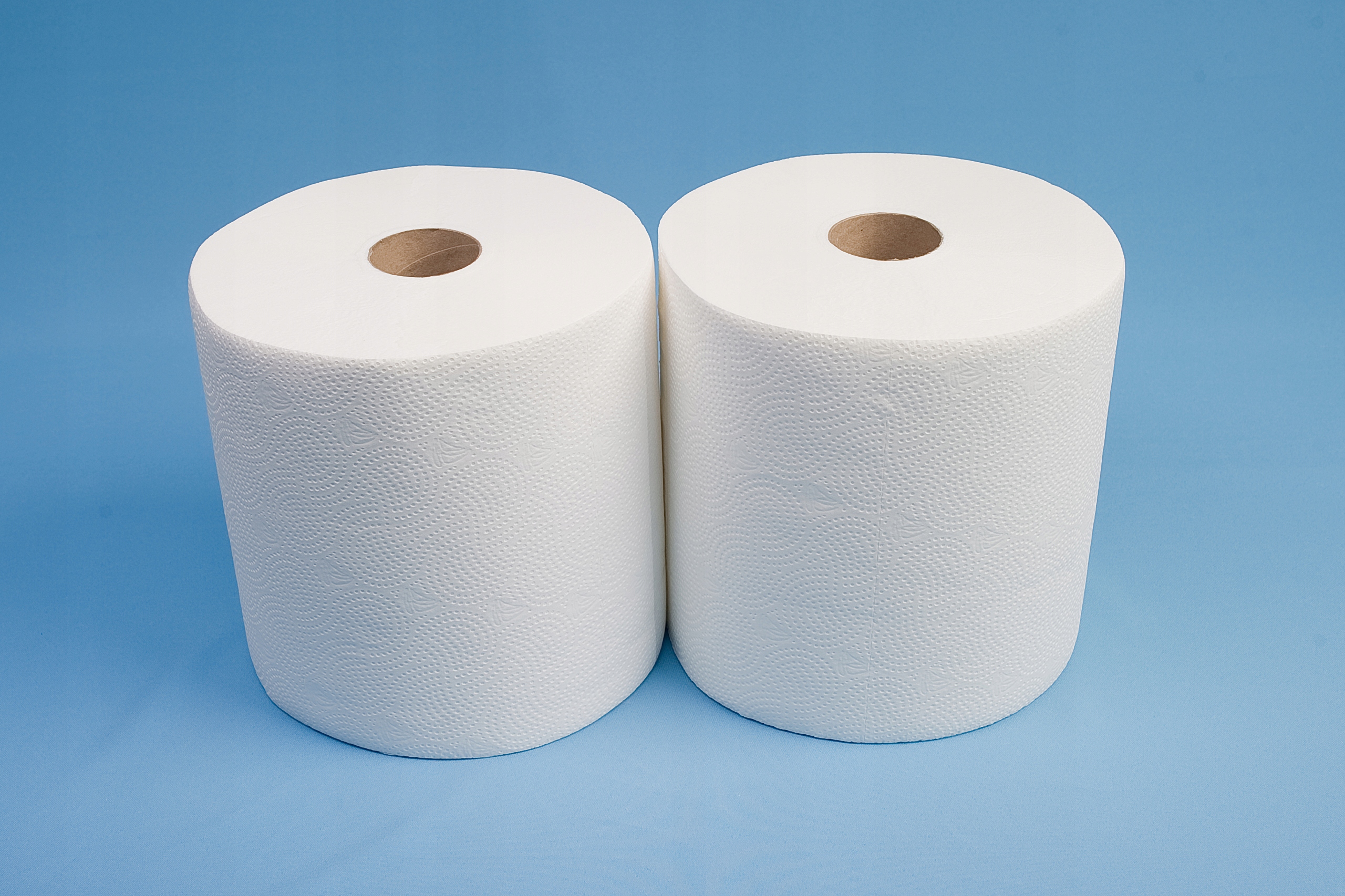 

Czyściwo papierowe, ręcznik papierowy 2 x 200m 2w