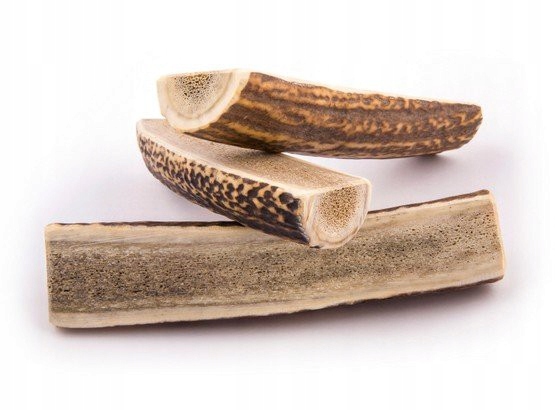 

4DOGS Gryzak z poroża XL+ easy