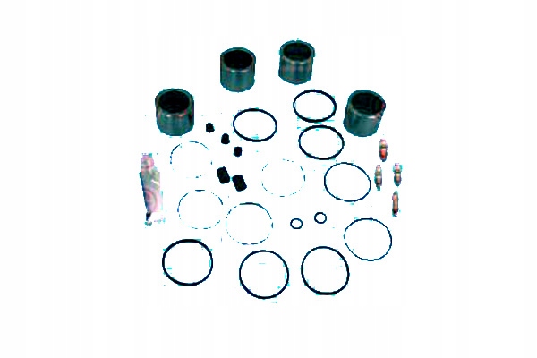 Autofren Sada Brzdového Třmenu Bmw Zadní 3 S Pozadím Asistent řidiče #28