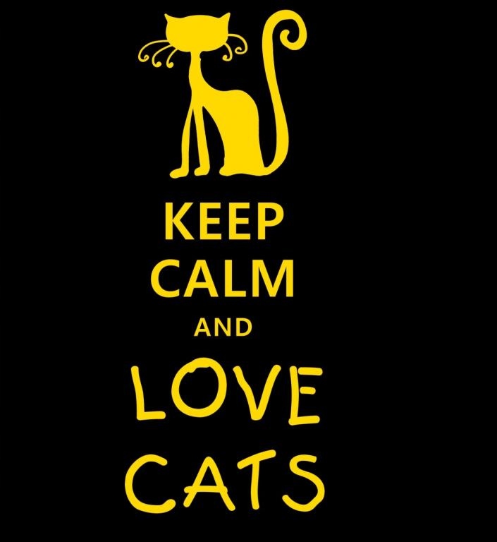 

Damska Śmieszne Koszulki Keep Calm Wzory k9a