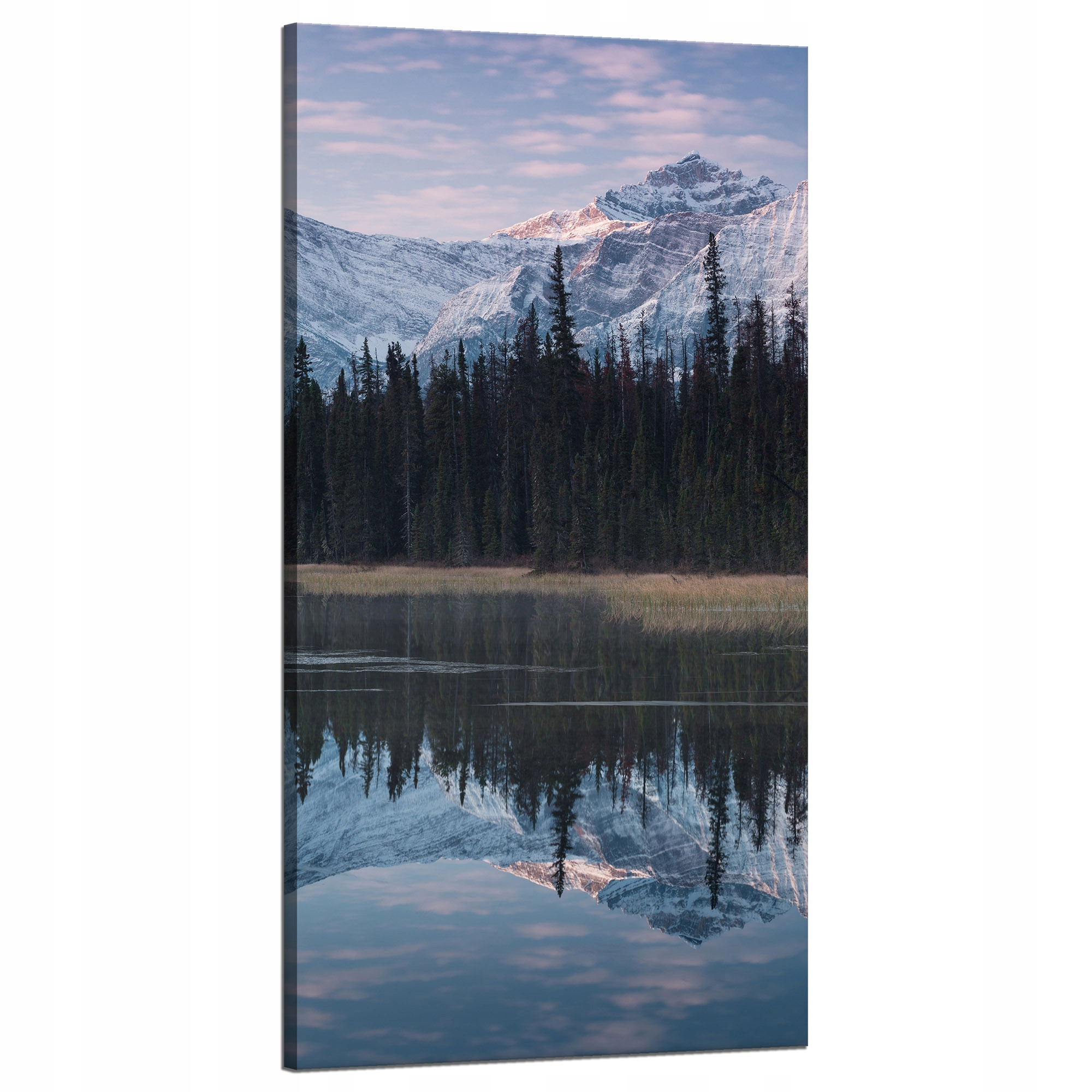Obraz na plátně Jezerní plocha Voda Sněhové lesy Hory 60x120 cm