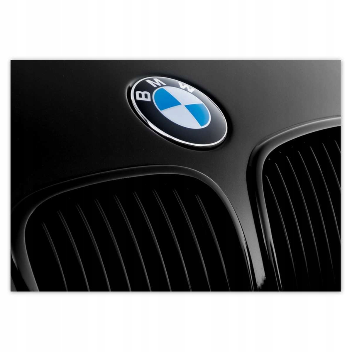 Fototapety 208x146 Známka Bmw na kapotě