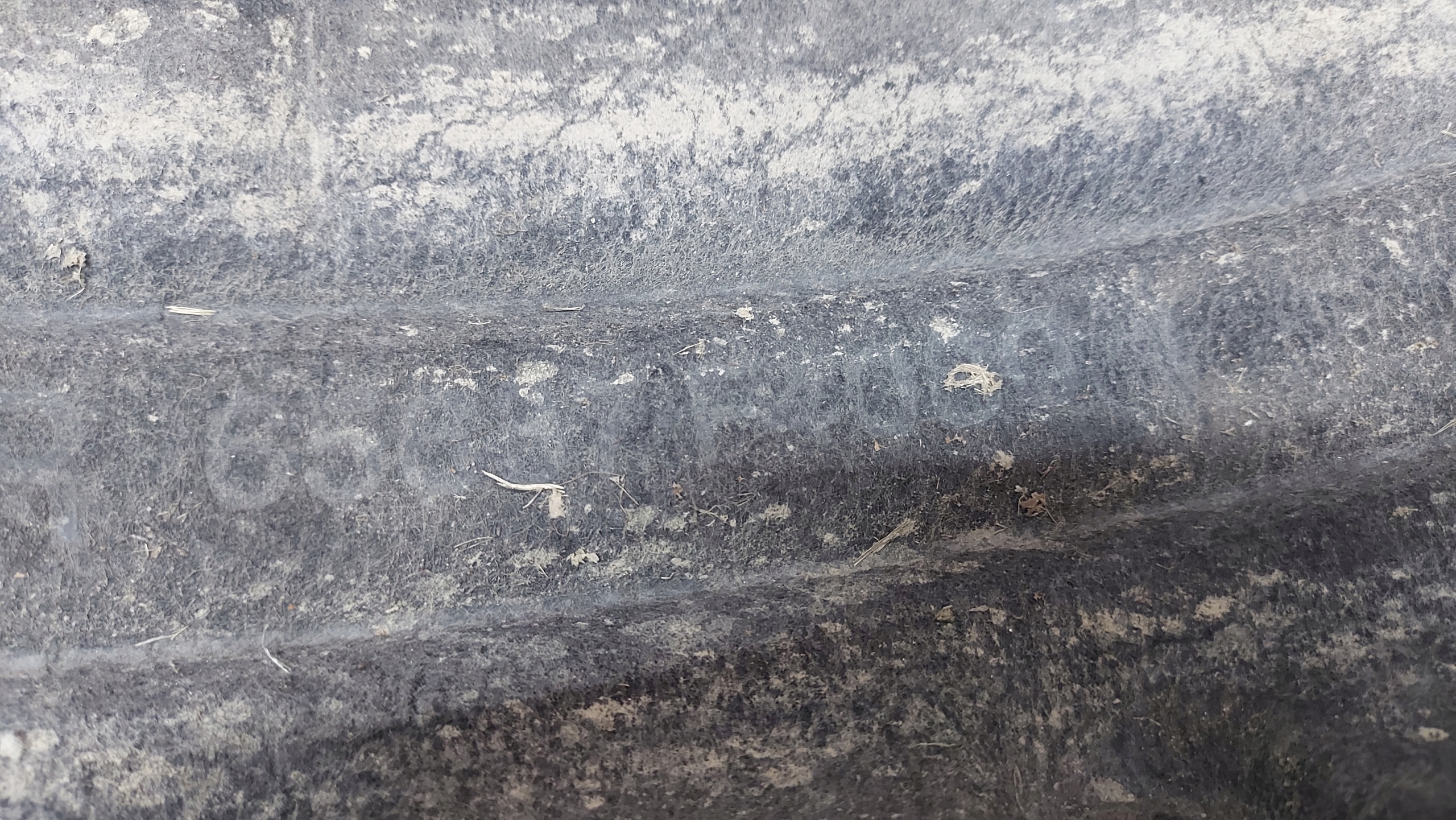 mudguard right right rear part rear. TOYOTA CHR C-HR 23