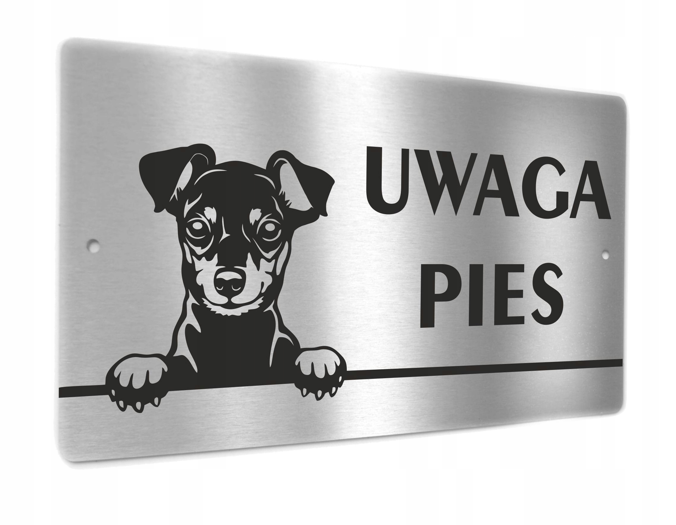 

Tabliczka Uwaga Pies Pinczer miniaturowy Ratlerek