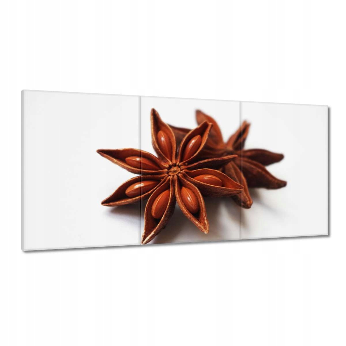 Obrazy 180x90 Anízová hviezdička Aníz