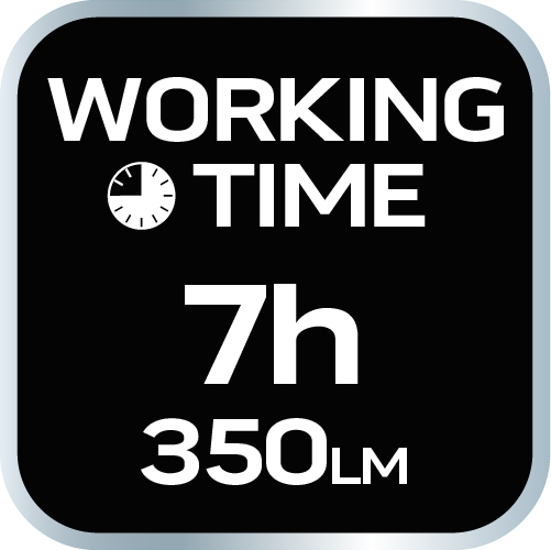 6685b69c4a56977d7eb5199d7631