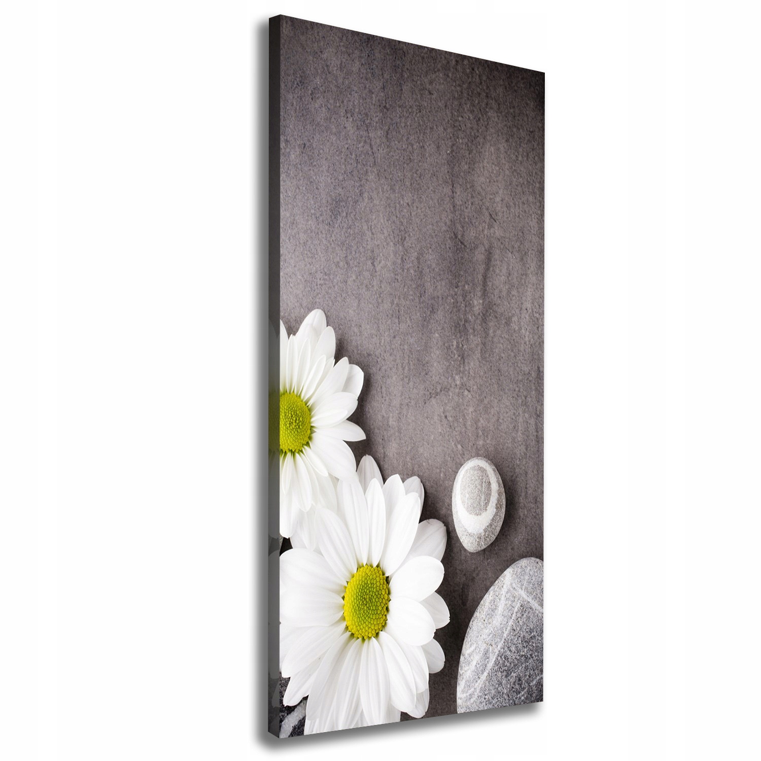 

Nowoczesny obraz canvas na ramie Gerbera 50x125 cm