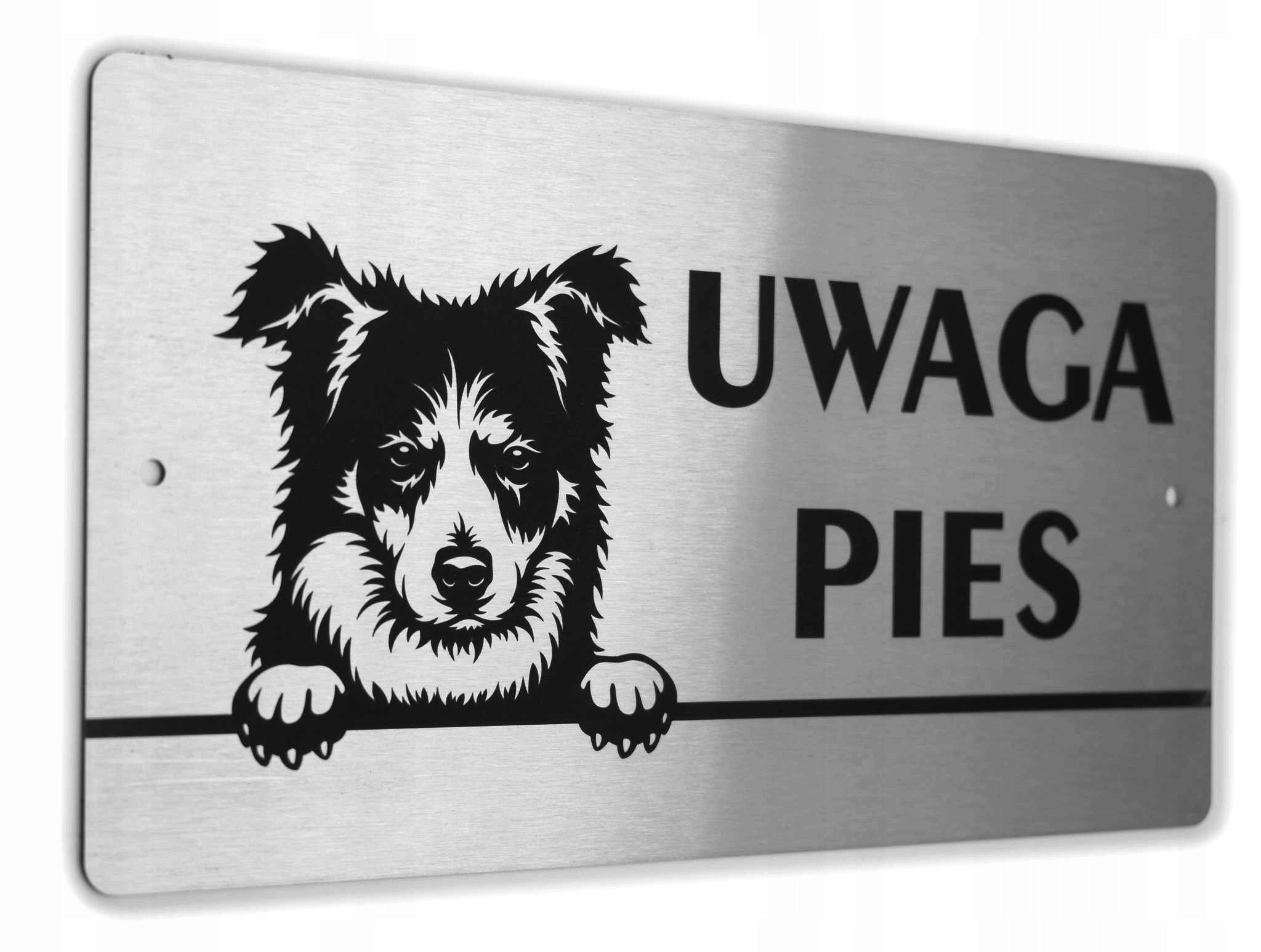 Tabliczka INOX - UWAGA PIES - Border Collie