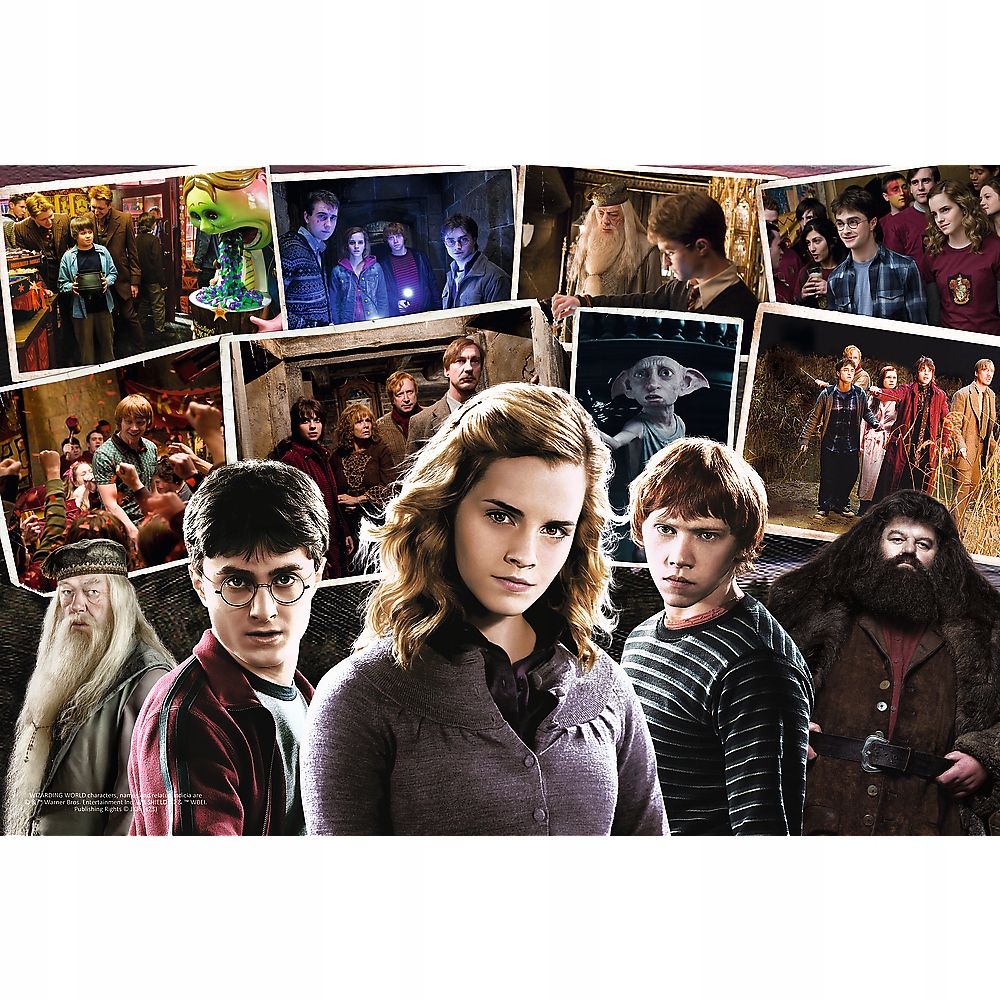 

Puzzle 160 Harry Potter Hermiona Hagrid 6+ Trefl