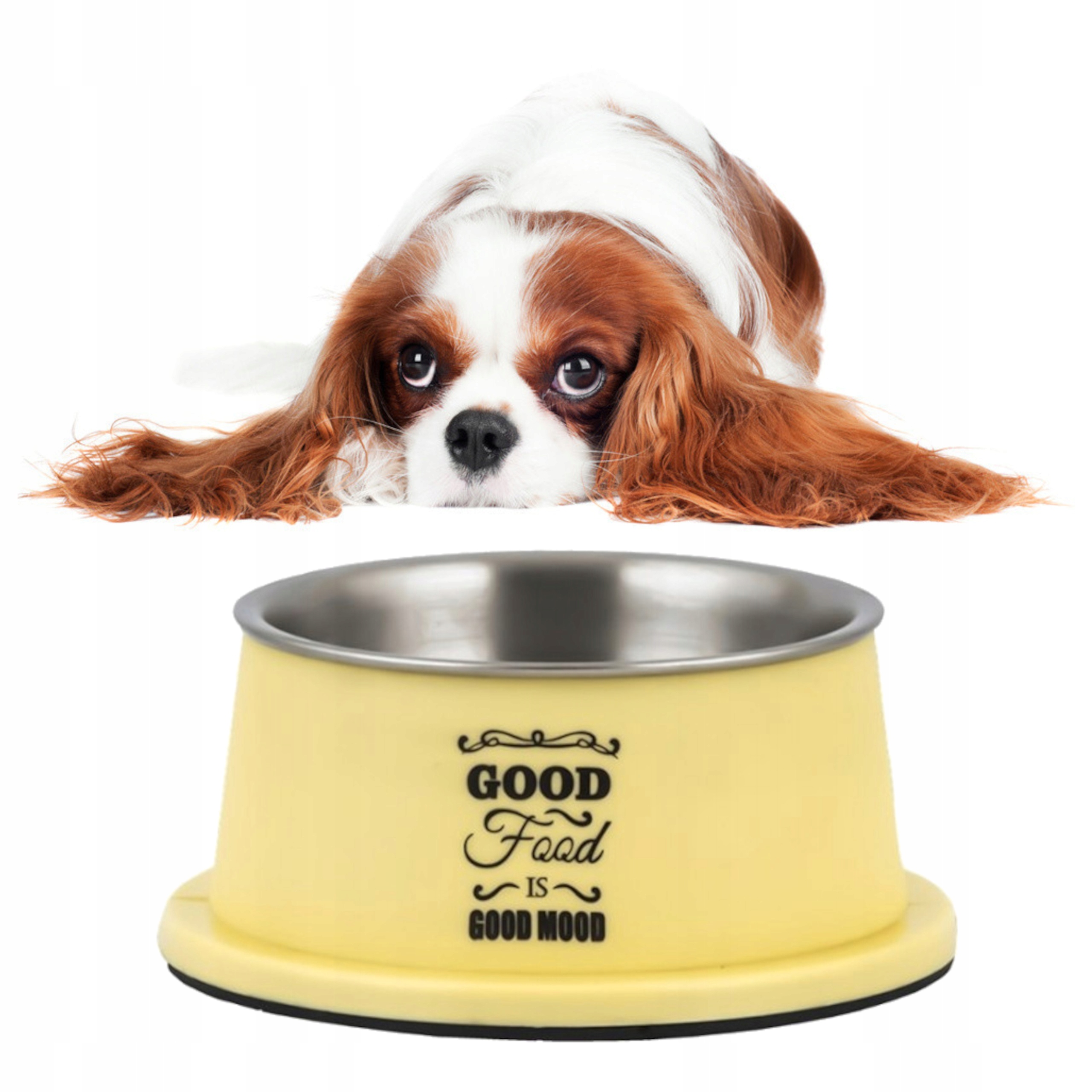 

Miska Dla Psa Delux Spaniel Długie Uszy 14CM/0,3L