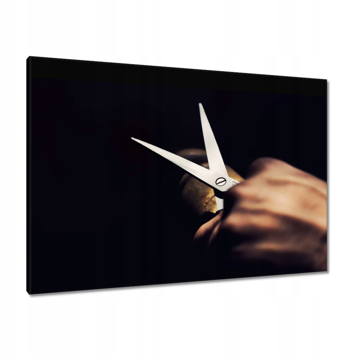 Obrazy 100x70 Kadeřnické nůžky