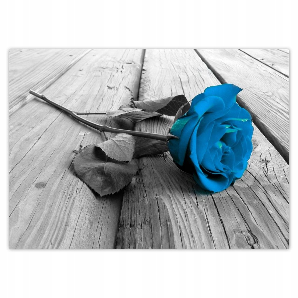 

Naklejki 70x50 Turkusowa róża na deskach