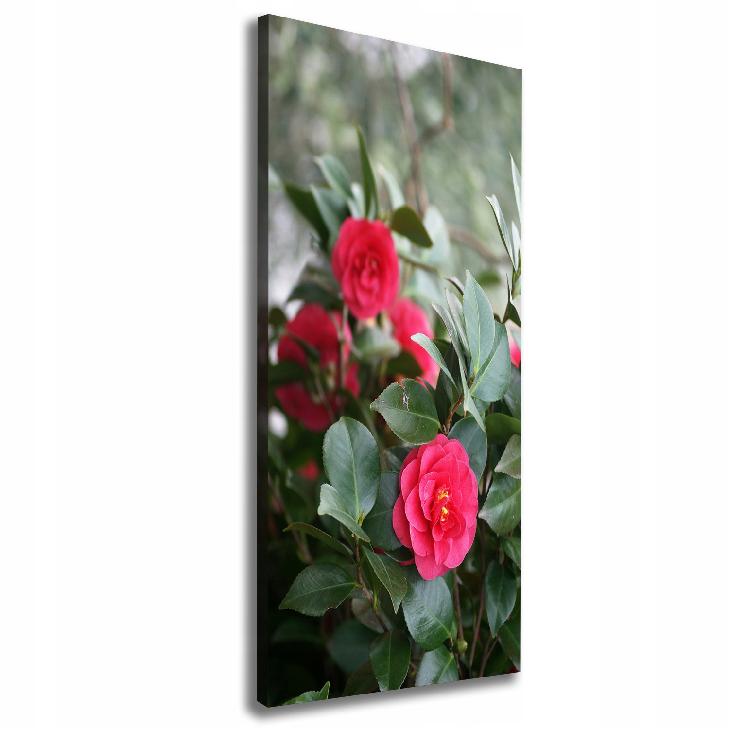 

Nowoczesny obraz canvas na ramie Kamelia 50x125 cm