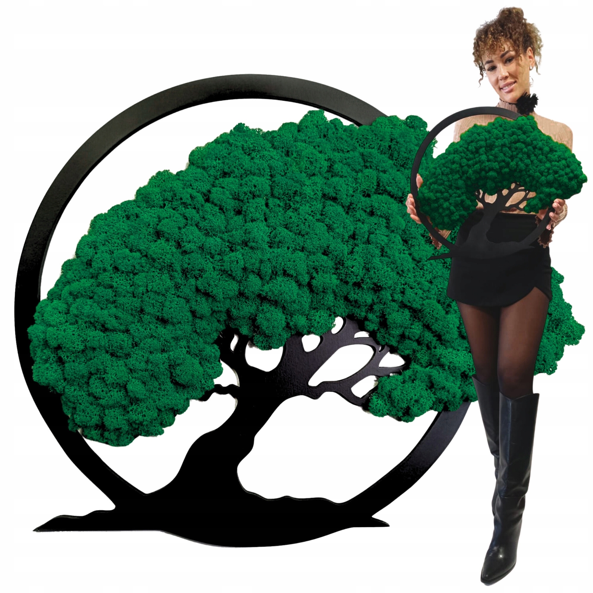 Obraz Severský Lišajník Strom Bonsai Obraz Z Machu Stromček Na Darček 50 cm