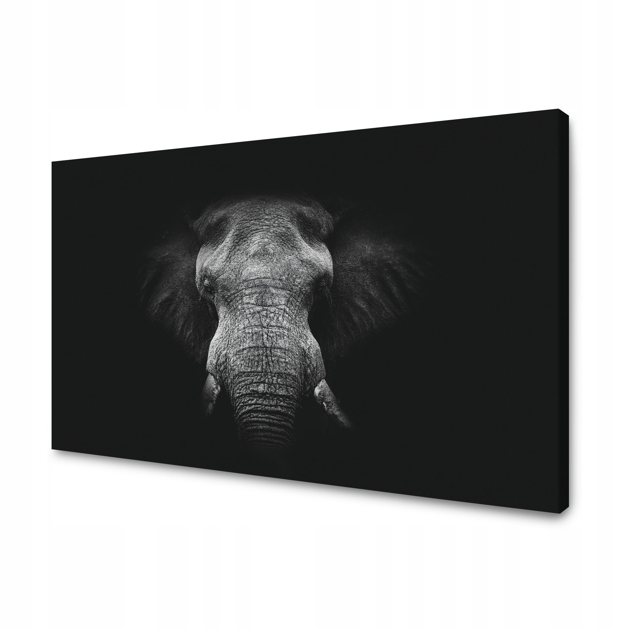 Obraz na plátně Tvář Šedého slona Trubka Kly 120x70 cm