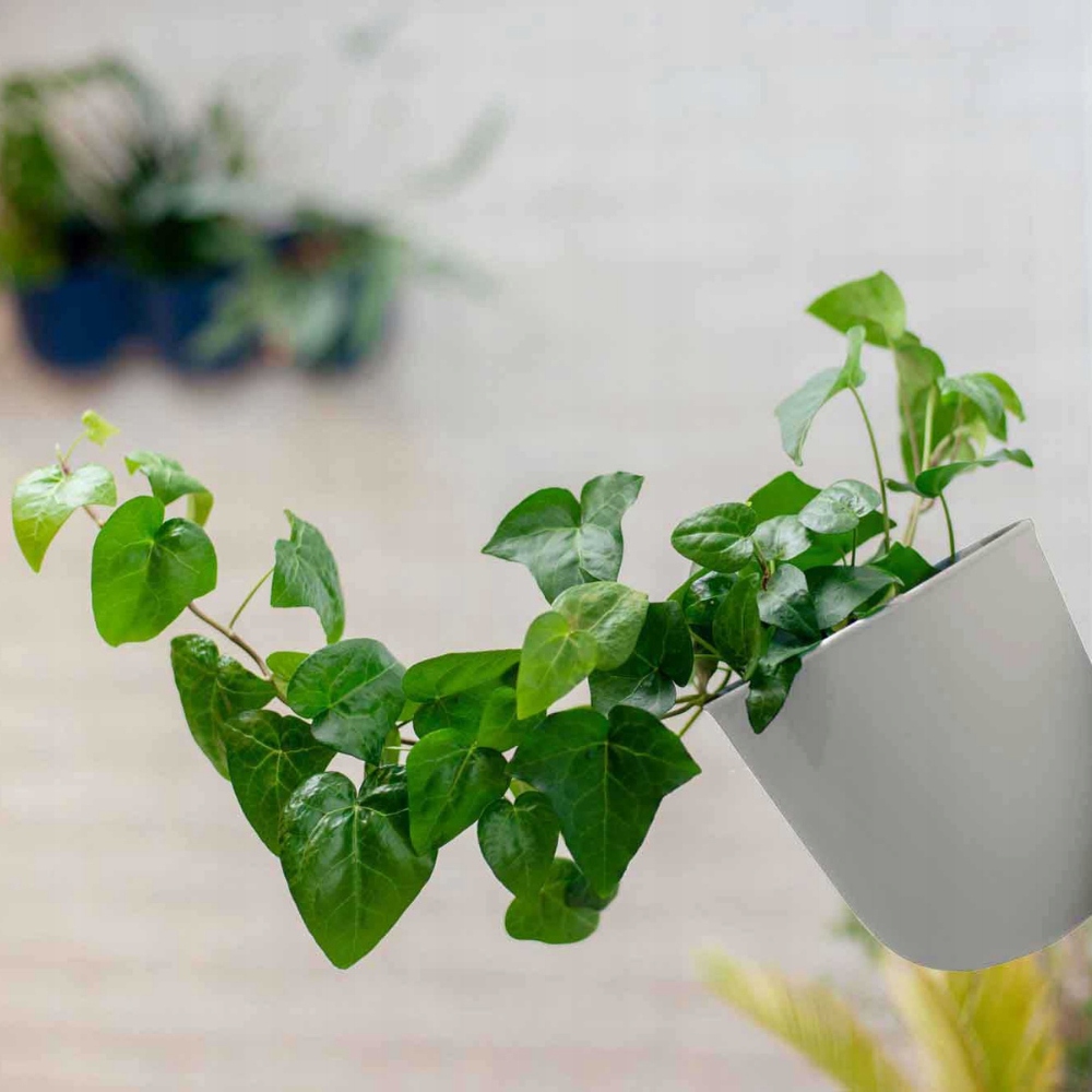 DONICZKA WISZĄCA PLASTIKOWA doniczka produkcyjna gratis TARAS MAŁA OSŁONKA Marka Wielorybie Rzeczy