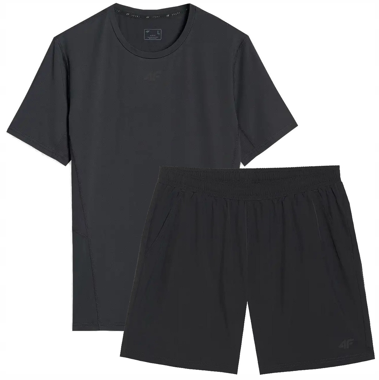 Komplet Sportowy Treningowy 4F Na Siłownię Męski Koszulka Spodenki L Dry