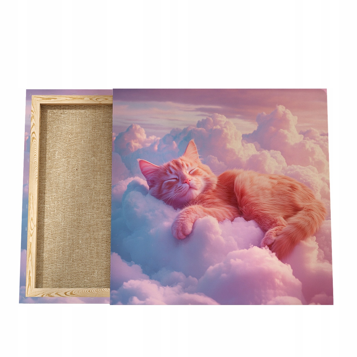 Obraz Kočka, Obraz na plátně s kočkou, Portrét kočky