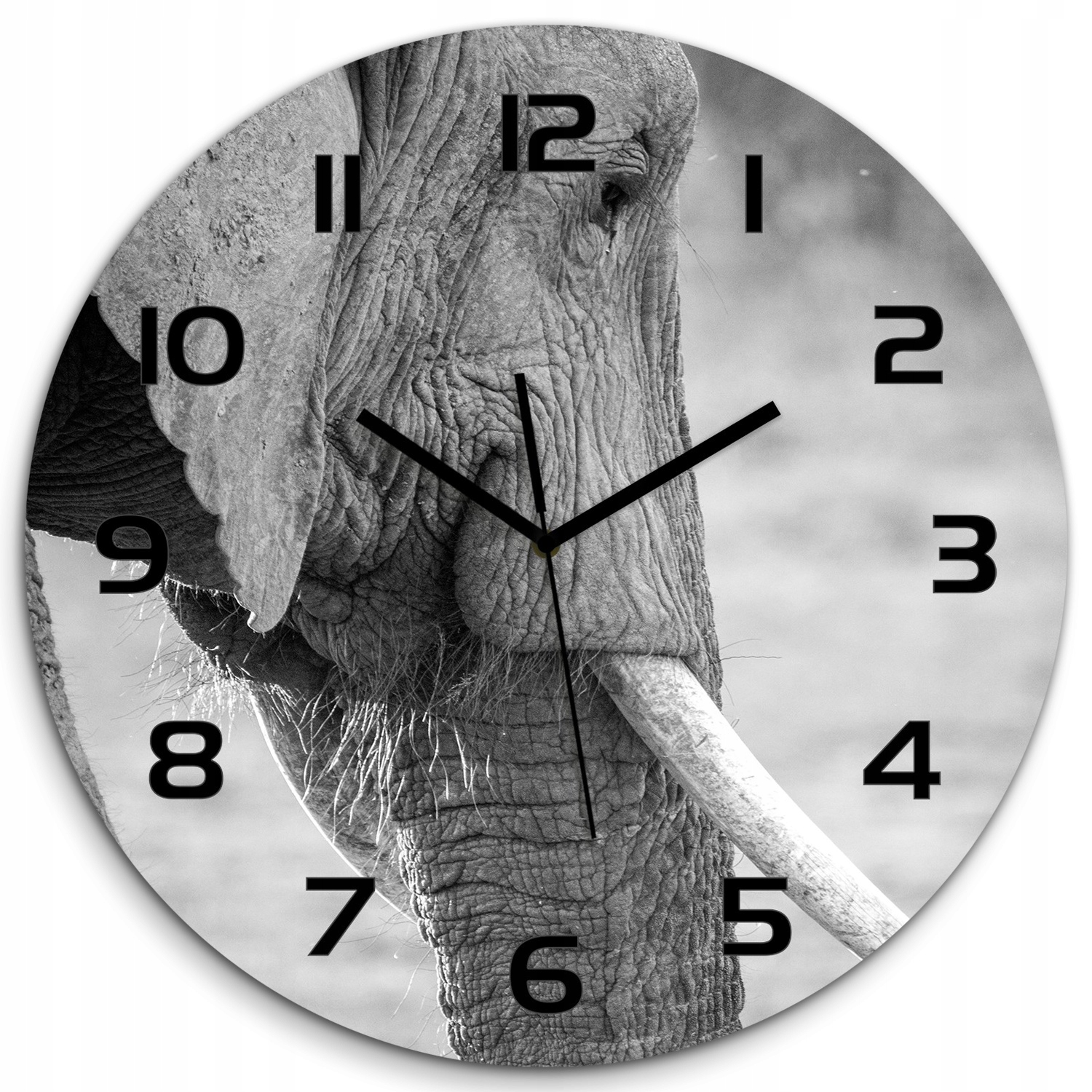 Veľký sklenený hodinový strojček, tichý mechanizmus Slon, priemer 60 cm