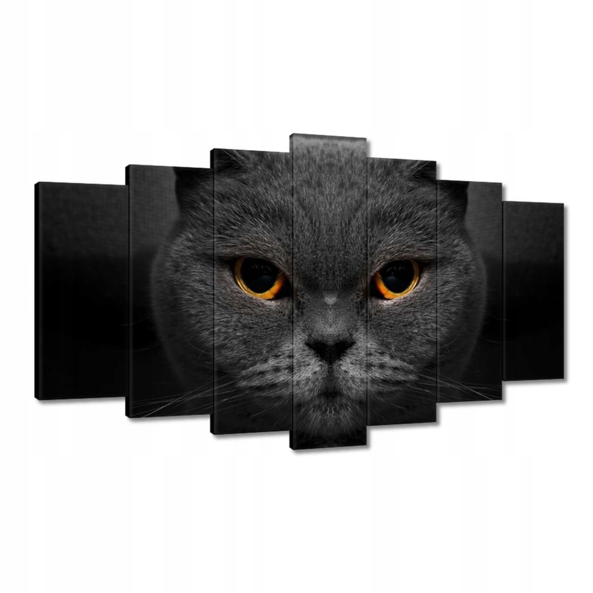 Obrazy 140x80 Vznešená kočka