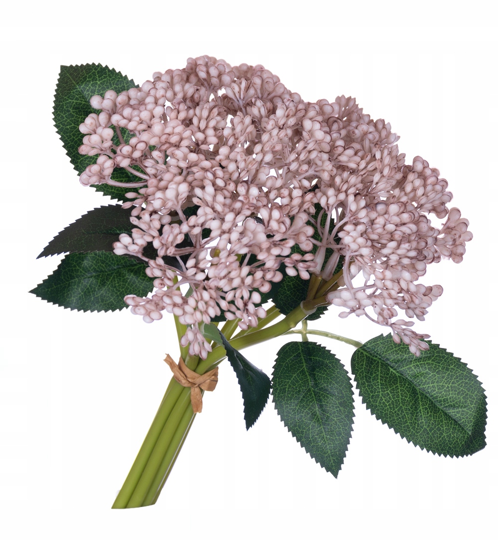 

Bukiet owoce kalina dziki bez dodatek do wianków