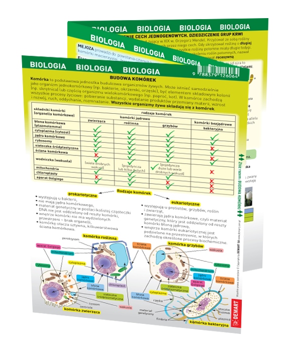 Maxi ściąga - Biologia DEMART