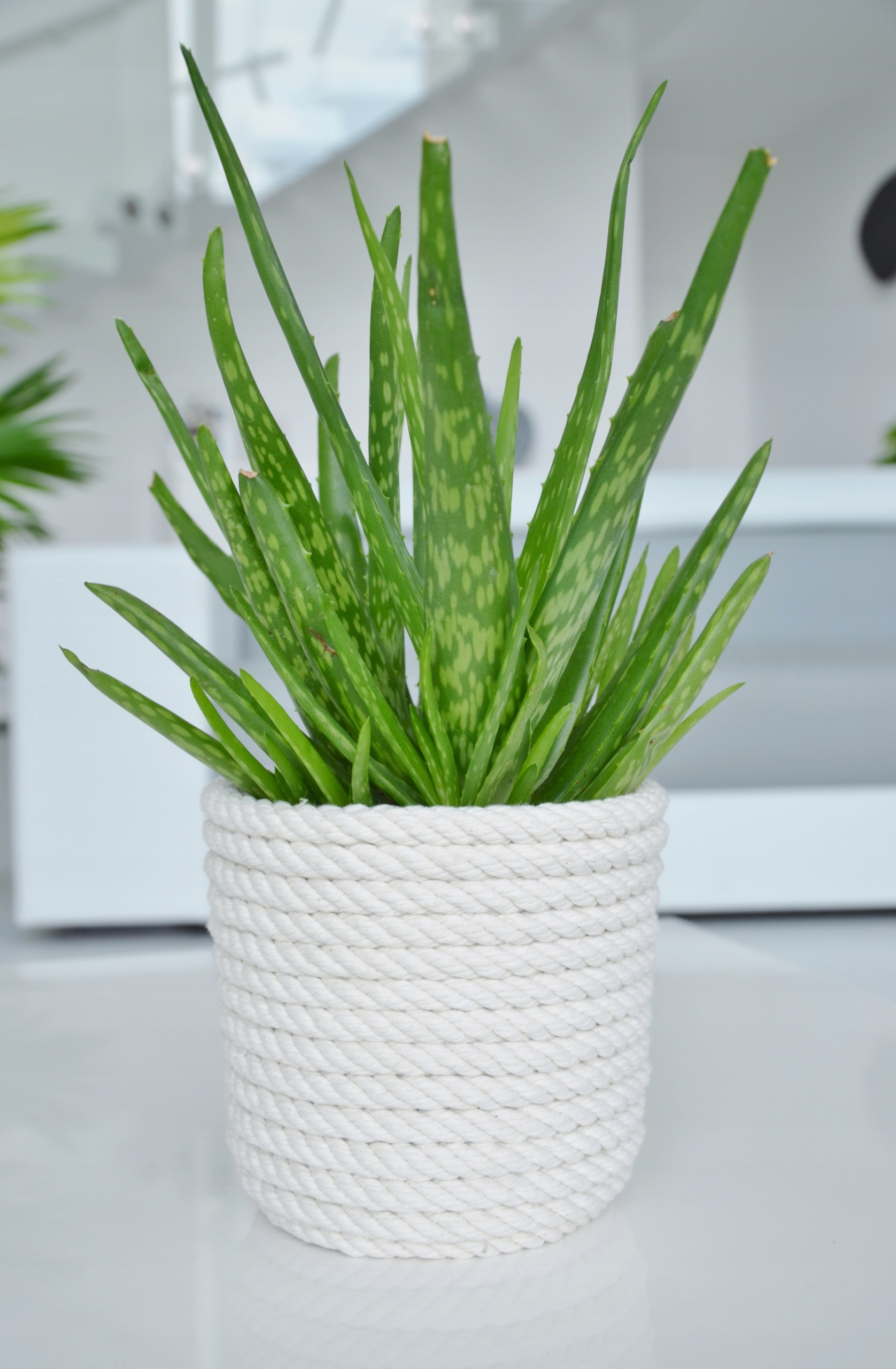 Květináč Bílý 23 šňůrek košík bavlněná ozdoba